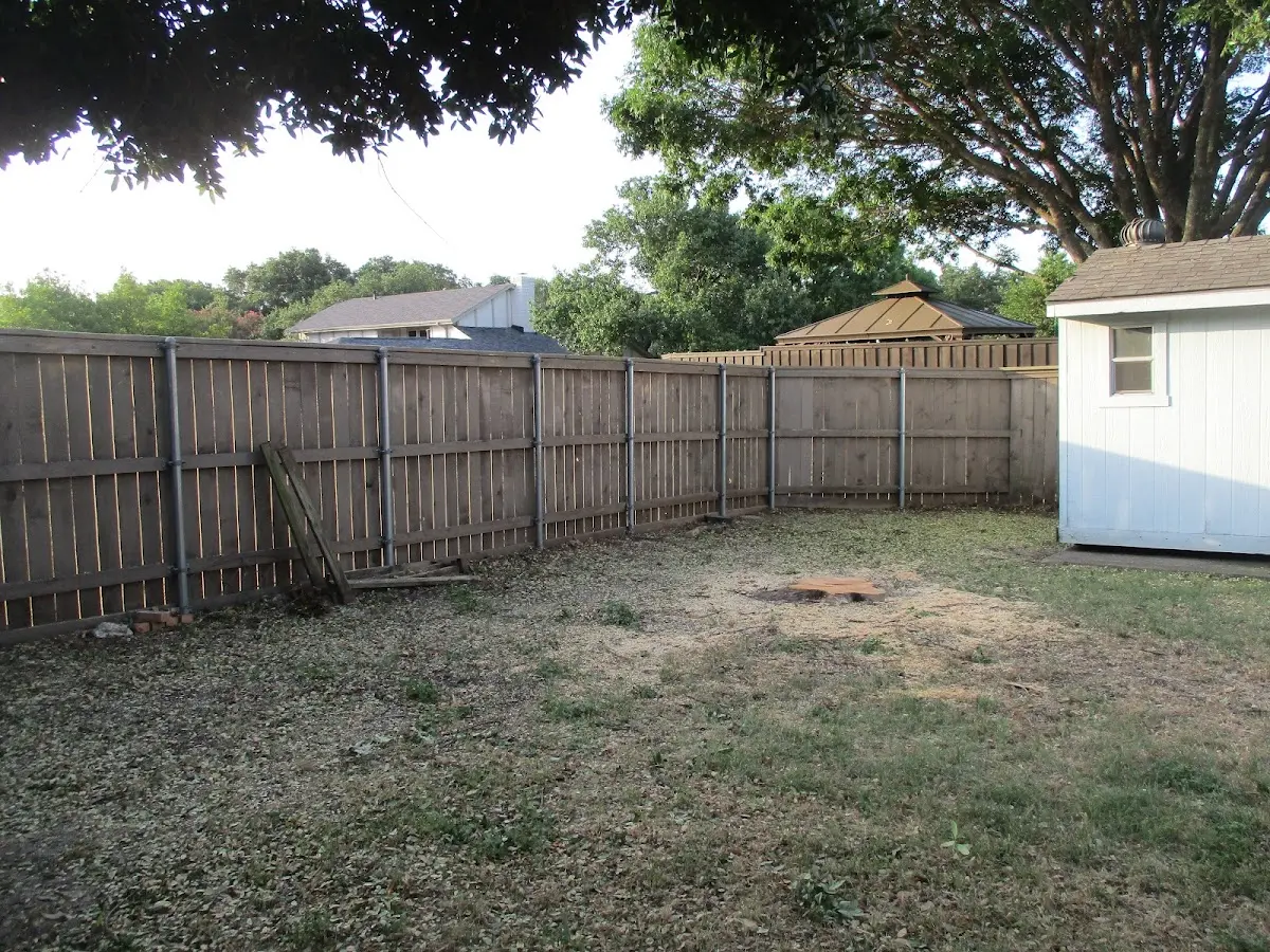 Cleared yard after professional tree removal in Lake Nebagamon