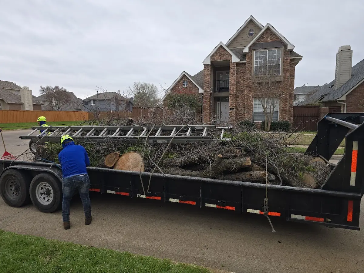 Expert Tree Removal with proper safety equipment in Lake Nebagamon